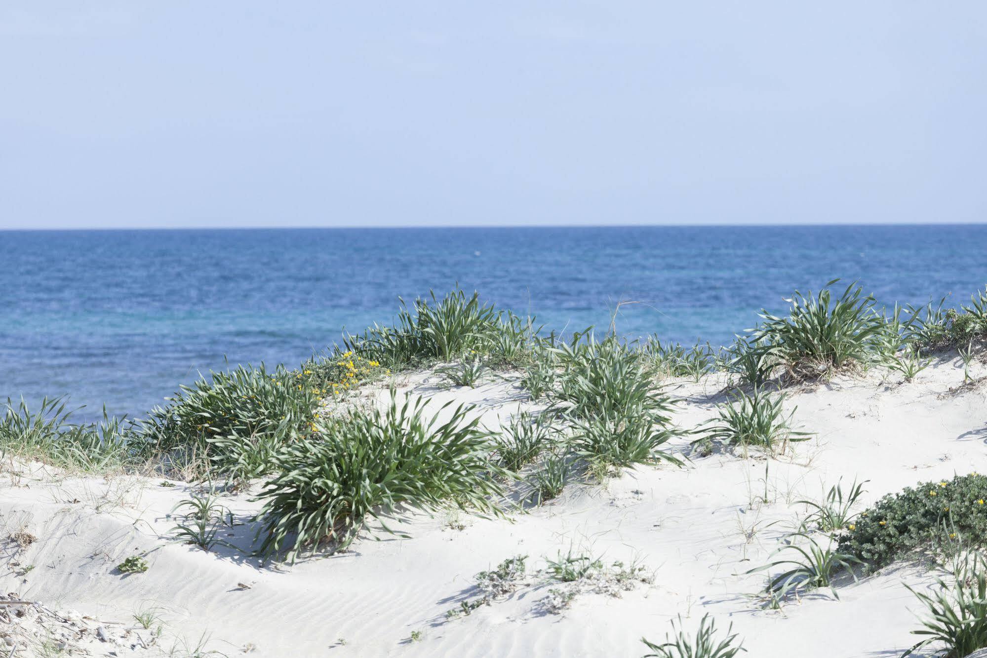 Spiaggiabella Beach Hotel Del Silenzio By Ria Hotels Torre Rinalda Εξωτερικό φωτογραφία